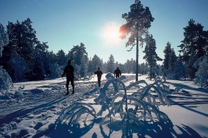 686-nordic-skiers-by-odd-stiansen-visitoslo-95911